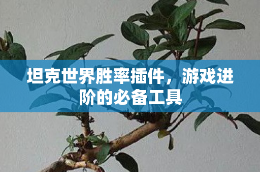 坦克世界胜率插件,游戏进阶的必备工具 坦克世界胜率插件,游戏进阶的必备工具