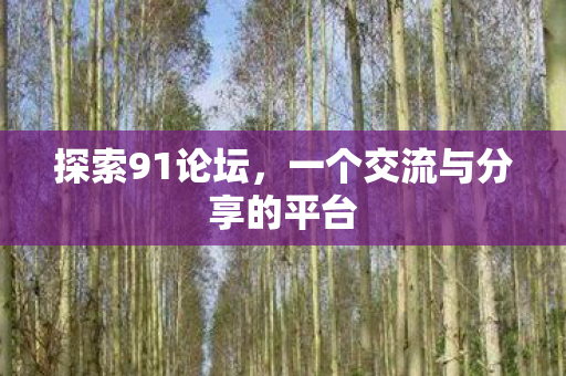 探索91论坛,一个交流与分享的平台 探索91论坛,一个交流与分享的平台