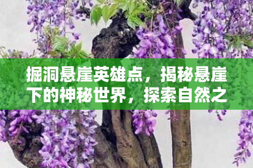 掘洞悬崖英雄点，揭秘悬崖下的神秘世界，探索自然之力的杰作与未知之谜