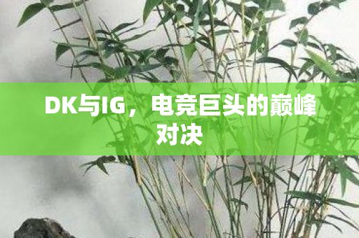 DK与IG，电竞巨头的巅峰对决
