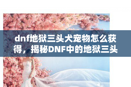 dnf地狱三头犬宠物怎么获得,揭秘DNF中的地狱三头犬,神秘生物的故事与攻略 dnf地狱三头犬宠物怎么获得,揭秘DNF中的地狱三头犬,神秘生物的故事与攻略