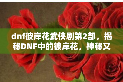 dnf彼岸花武侠剧第2部,揭秘DNF中的彼岸花,神秘又强大的存在 dnf彼岸花武侠剧第2部,揭秘DNF中的彼岸花,神秘又强大的存在