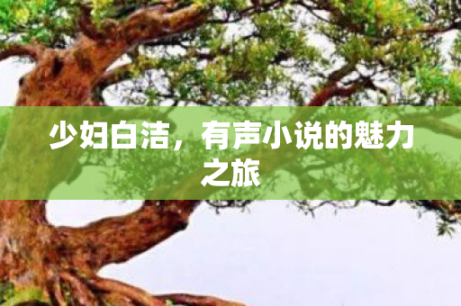 少妇白洁,有声小说的魅力之旅 少妇白洁,有声小说的魅力之旅