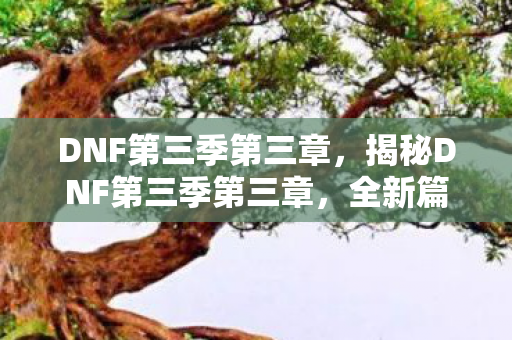 DNF第三季第三章，揭秘DNF第三季第三章，全新篇章的冒险与挑战