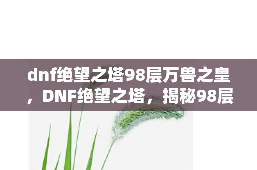 dnf绝望之塔98层万兽之皇，DNF绝望之塔，揭秘98层挑战的无尽试炼