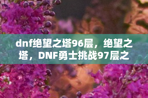 dnf绝望之塔96层，绝望之塔，DNF勇士挑战97层之巅