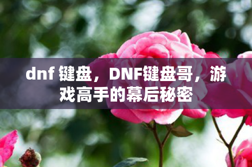 dnf 键盘，DNF键盘哥，游戏高手的幕后秘密