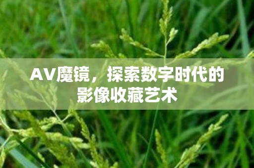 AV魔镜,探索数字时代的影像收藏艺术 AV魔镜,探索数字时代的影像收藏艺术
