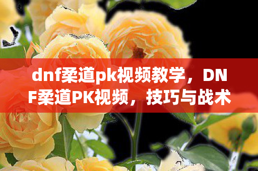 dnf柔道pk视频教学，DNF柔道PK视频，技巧与战术的较量