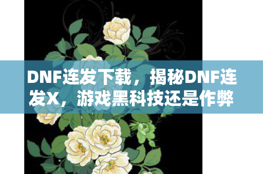 DNF连发下载，揭秘DNF连发X，游戏黑科技还是作弊手段？