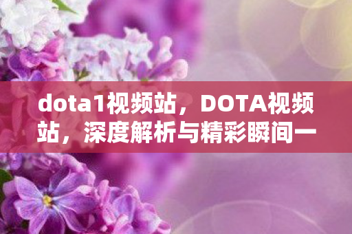 dota1视频站，DOTA视频站，深度解析与精彩瞬间一览
