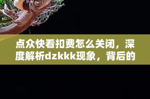 点众快看扣费怎么关闭，深度解析dzkkk现象，背后的原因与未来发展