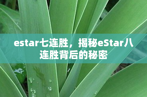 estar七连胜，揭秘eStar八连胜背后的秘密