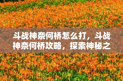 斗战神奈何桥怎么打，斗战神奈何桥攻略，探索神秘之地，挑战未知之境