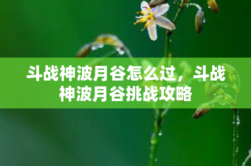 斗战神波月谷怎么过，斗战神波月谷挑战攻略