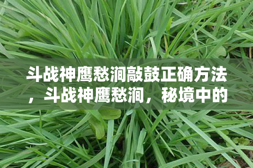 斗战神鹰愁涧敲鼓正确方法，斗战神鹰愁涧，秘境中的传奇与挑战