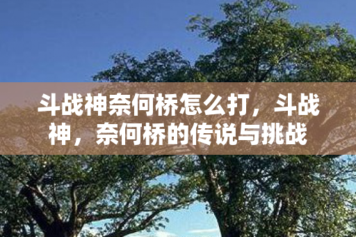 斗战神奈何桥怎么打,斗战神,奈何桥的传说与挑战 斗战神奈何桥怎么打,斗战神,奈何桥的传说与挑战