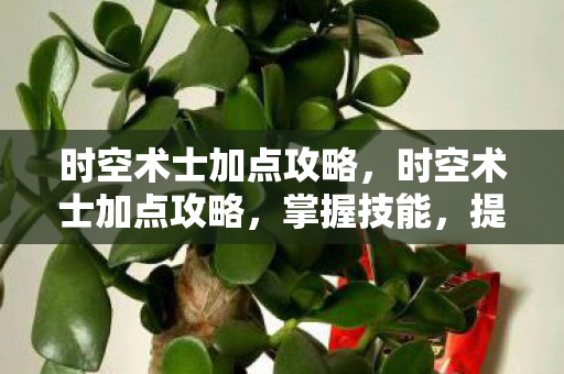 时空术士加点攻略，时空术士加点攻略，掌握技能，提升战斗能力