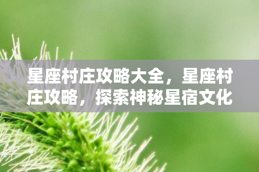 星座村庄攻略大全，星座村庄攻略，探索神秘星宿文化的绝佳之地