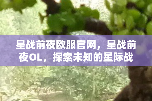 星战前夜欧服官网，星战前夜OL，探索未知的星际战场