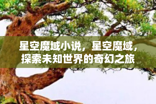 星空魔域小说，星空魔域，探索未知世界的奇幻之旅