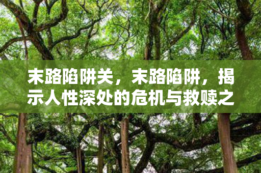 末路陷阱关,末路陷阱,揭示人性深处的危机与救赎之路 末路陷阱关,末路陷阱,揭示人性深处的危机与救赎之路