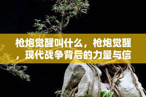 枪炮觉醒叫什么，枪炮觉醒，现代战争背后的力量与信仰重塑