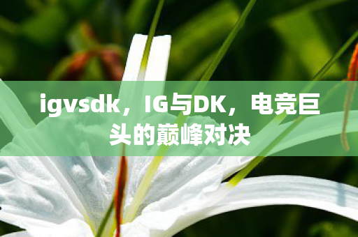 igvsdk，IG与DK，电竞巨头的巅峰对决