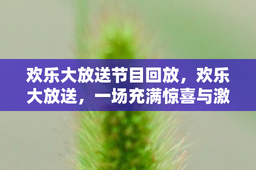 欢乐大放送节目回放，欢乐大放送，一场充满惊喜与激情的盛宴