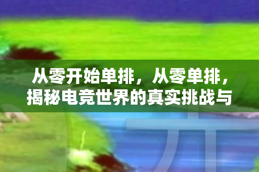 从零开始单排,从零单排,揭秘电竞世界的真实挑战与成长之路 从零开始单排,从零单排,揭秘电竞世界的真实挑战与成长之路