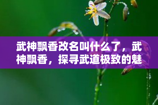 武神飘香改名叫什么了,武神飘香,探寻武道极致的魅力 武神飘香改名叫什么了,武神飘香,探寻武道极致的魅力