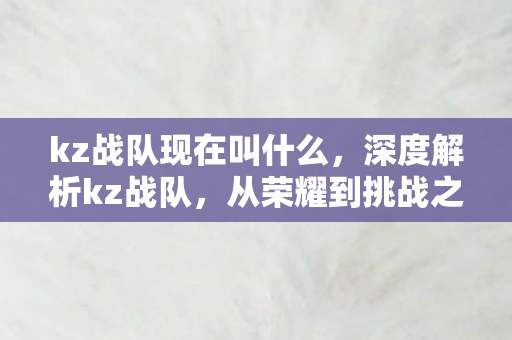 kz战队现在叫什么，深度解析kz战队，从荣耀到挑战之路的历程