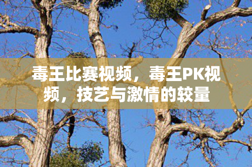 毒王比赛视频，毒王PK视频，技艺与激情的较量