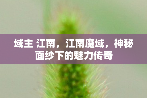域主 江南，江南魔域，神秘面纱下的魅力传奇