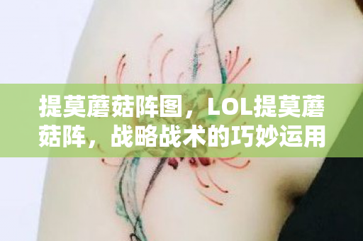 提莫蘑菇阵图，LOL提莫蘑菇阵，战略战术的巧妙运用