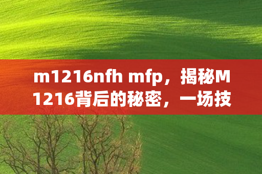 m1216nfh mfp，揭秘M1216背后的秘密，一场技术与创新的盛宴