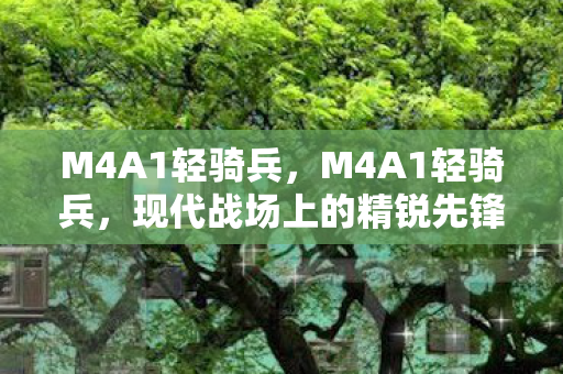 M4A1轻骑兵,M4A1轻骑兵,现代战场上的精锐先锋 M4A1轻骑兵,M4A1轻骑兵,现代战场上的精锐先锋