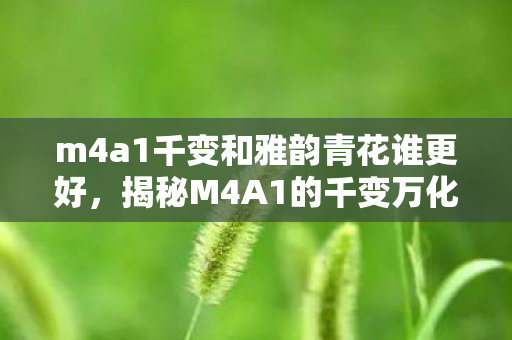 m4a1千变和雅韵青花谁更好，揭秘M4A1的千变万化，从基础到进阶的全面解析