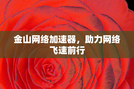 金山网络加速器,助力网络飞速前行 金山网络加速器,助力网络飞速前行