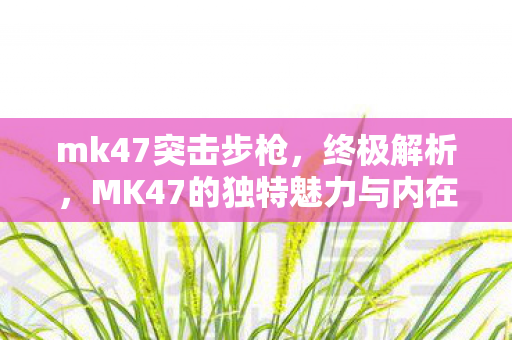 mk47突击步枪，终极解析，MK47的独特魅力与内在价值