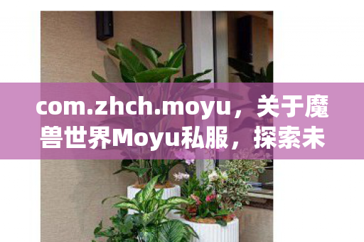 com.zhch.moyu，关于魔兽世界Moyu私服，探索未知的游戏世界