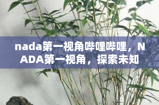 nada第一视角哔哩哔哩，NADA第一视角，探索未知的音乐世界