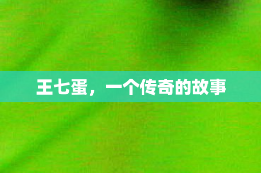 王七蛋，一个传奇的故事