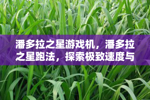 潘多拉之星游戏机，潘多拉之星跑法，探索极致速度与策略的艺术