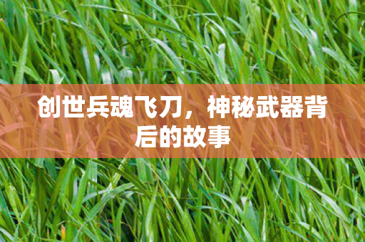 创世兵魂飞刀，神秘武器背后的故事