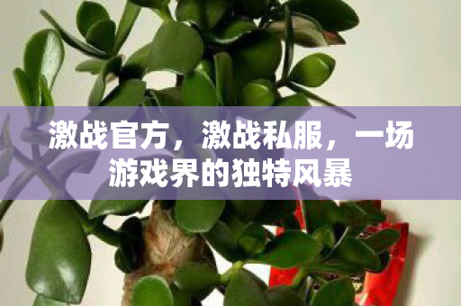 激战官方，激战私服，一场游戏界的独特风暴