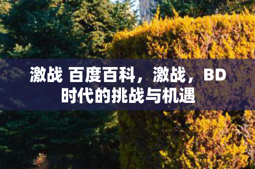 激战 百度百科，激战，BD时代的挑战与机遇