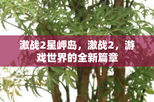 激战2星岬岛，激战2，游戏世界的全新篇章