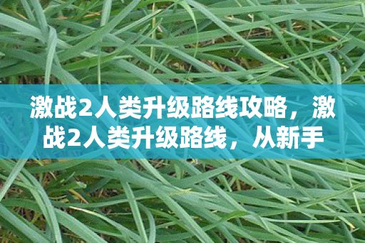 激战2人类升级路线攻略，激战2人类升级路线，从新手到巅峰的攻略指南