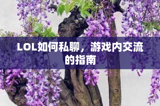 LOL如何私聊，游戏内交流的指南